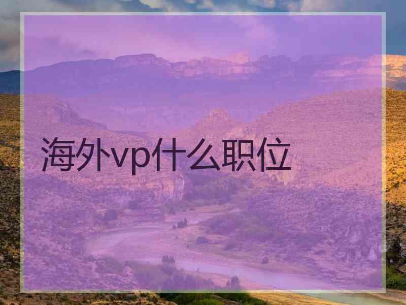 海外vp什么职位