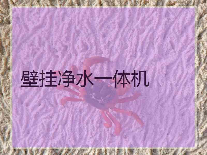 壁挂净水一体机