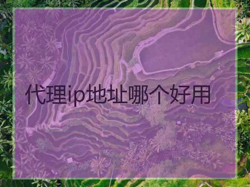 代理ip地址哪个好用