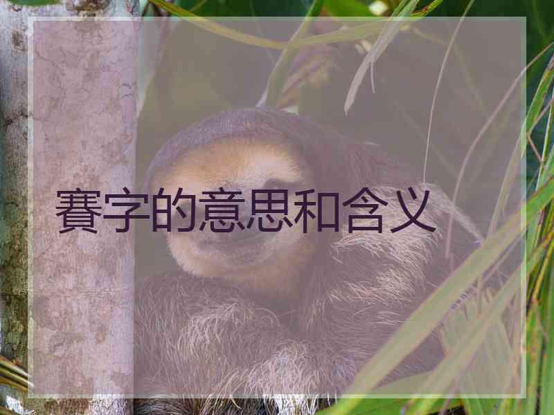 賽字的意思和含义