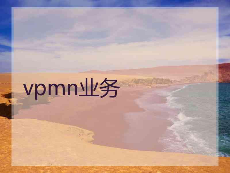 vpmn业务