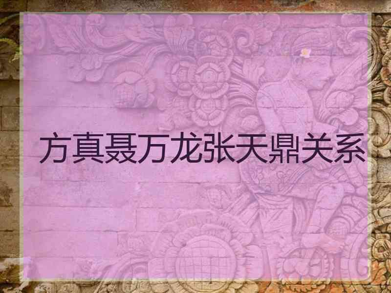 方真聂万龙张天鼎关系