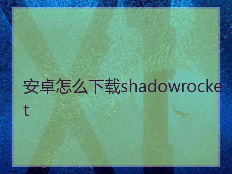 安卓怎么下载shadowrocket