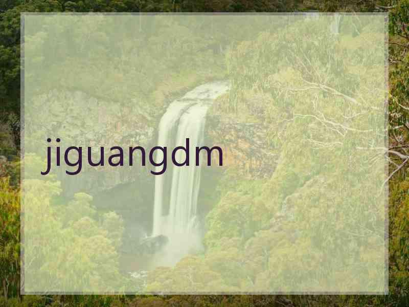 jiguangdm