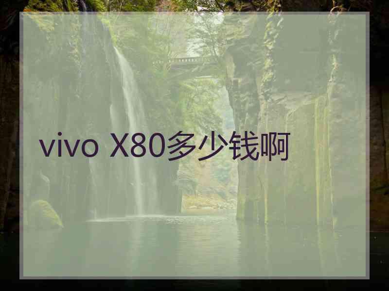 vivo X80多少钱啊