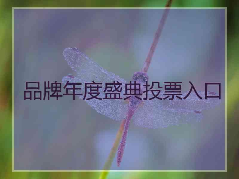 品牌年度盛典投票入口