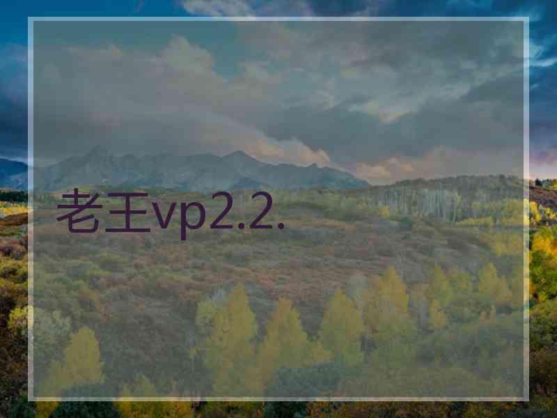 老王vp2.2.