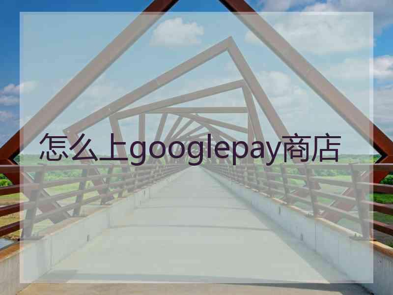 怎么上googlepay商店