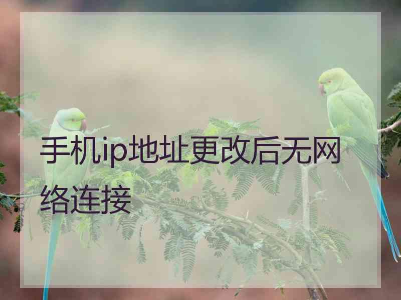 手机ip地址更改后无网络连接