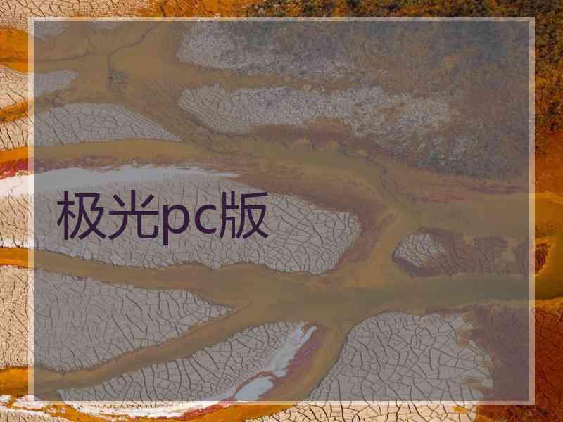 极光pc版