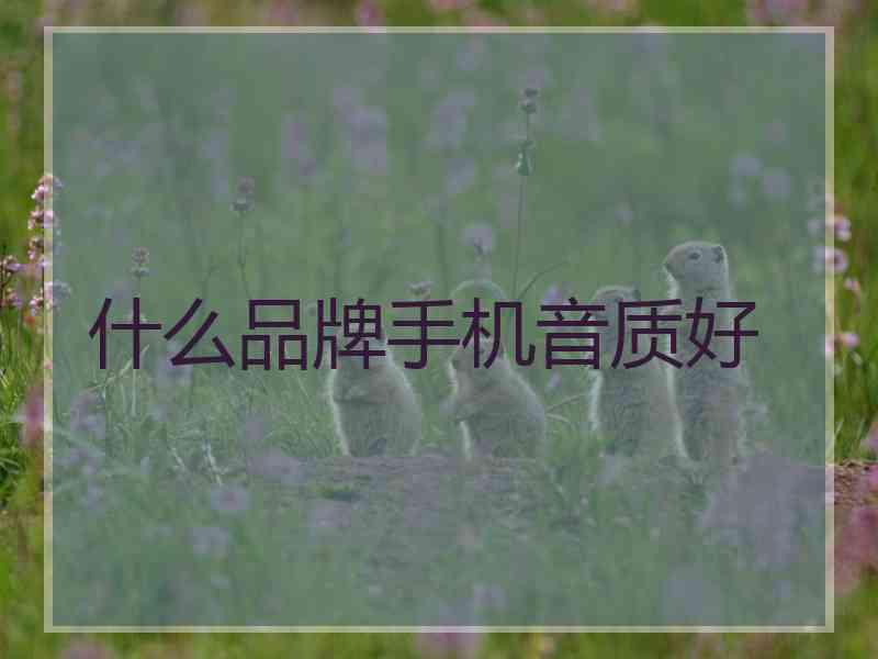 什么品牌手机音质好
