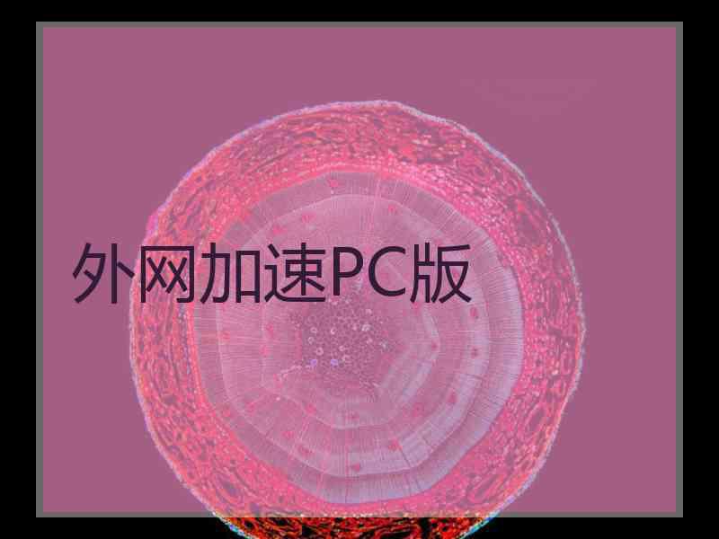 外网加速PC版