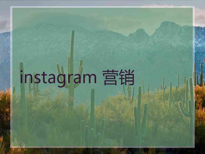 instagram 营销