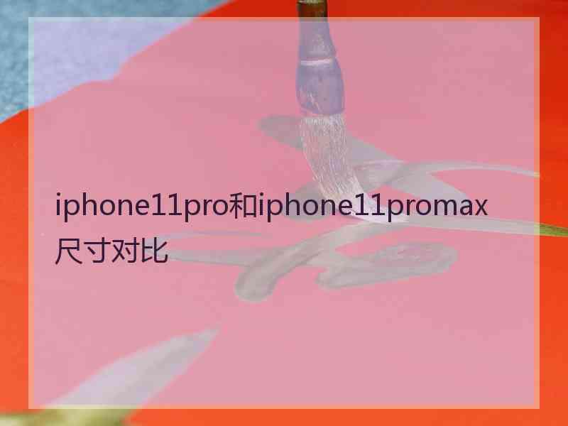 iphone11pro和iphone11promax尺寸对比