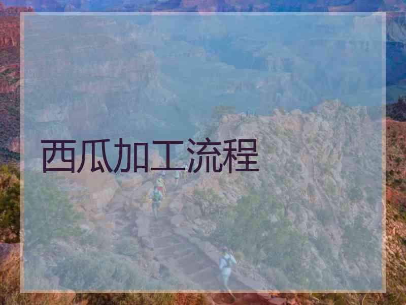 西瓜加工流程