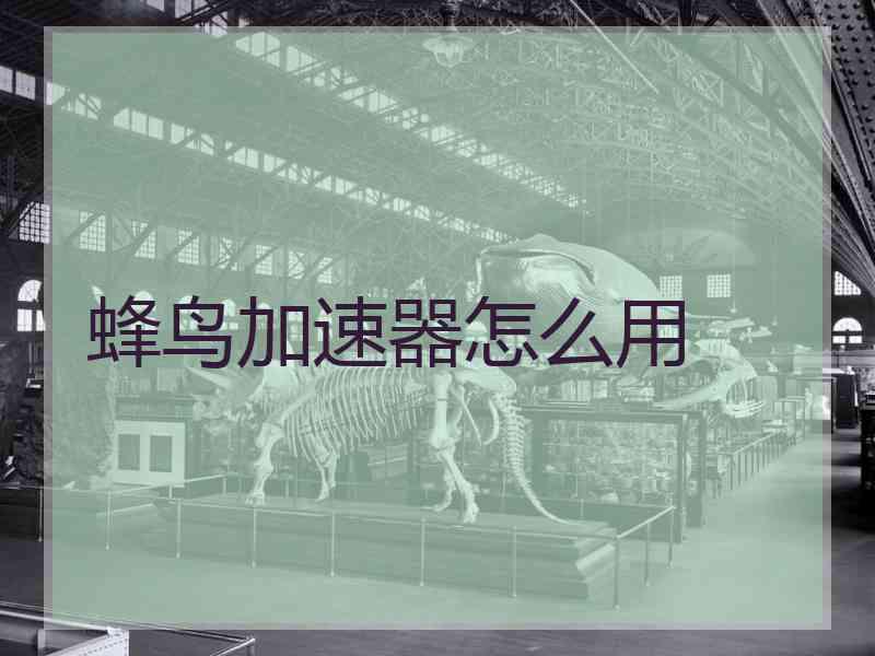 蜂鸟加速器怎么用