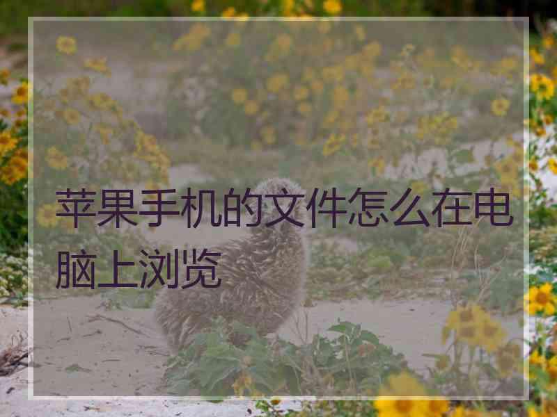 苹果手机的文件怎么在电脑上浏览