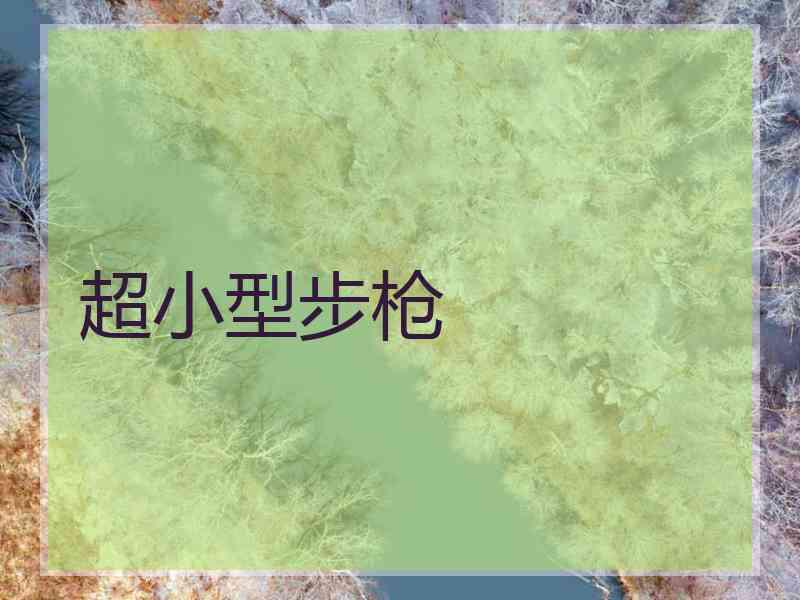 超小型步枪