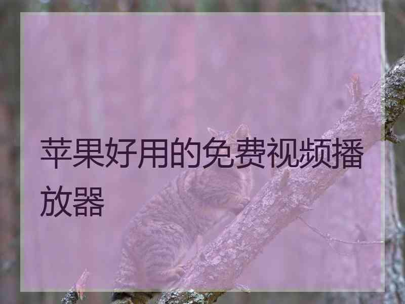 苹果好用的免费视频播放器