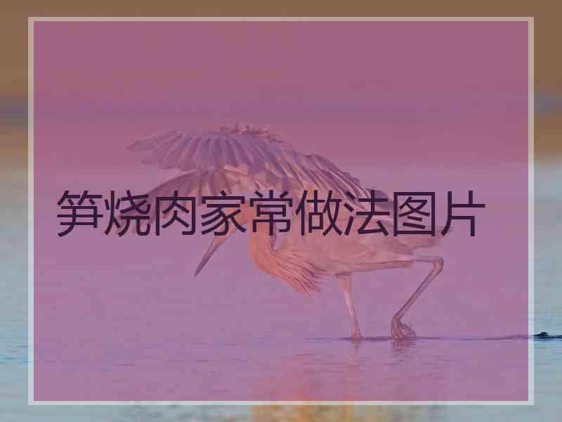 笋烧肉家常做法图片