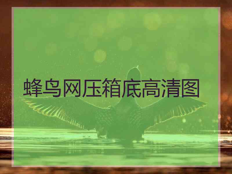 蜂鸟网压箱底高清图