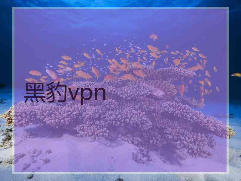 黑豹vpn