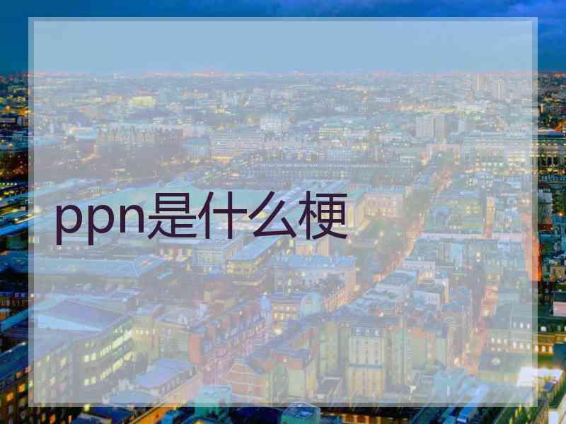 ppn是什么梗