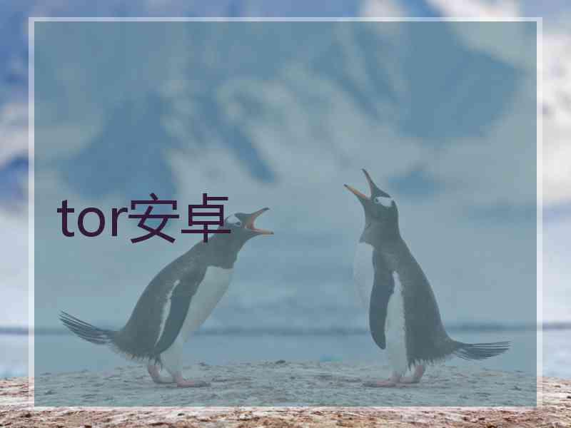 tor安卓