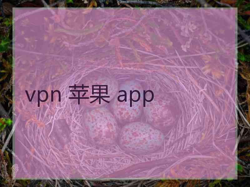 vpn 苹果 app