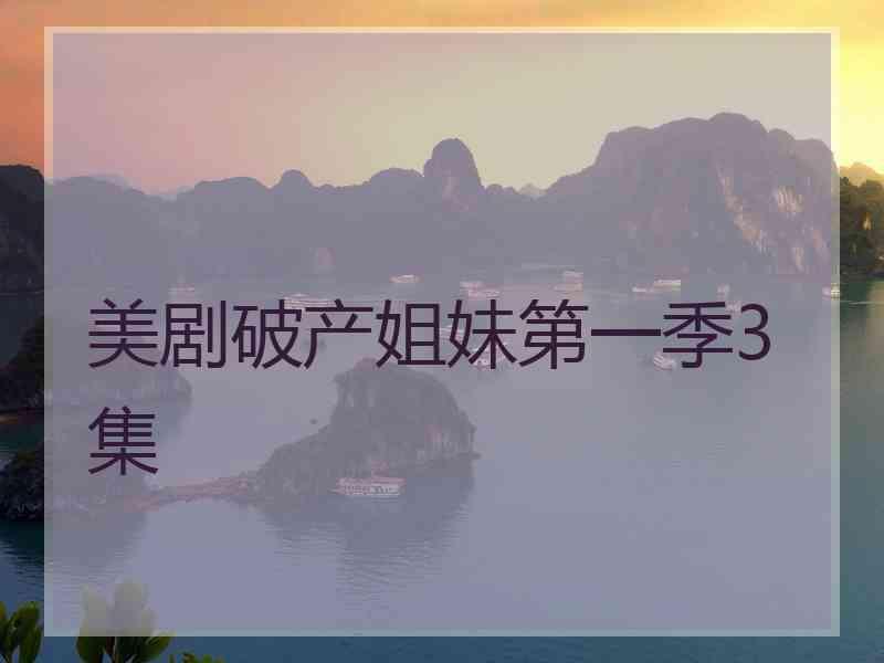 美剧破产姐妹第一季3集