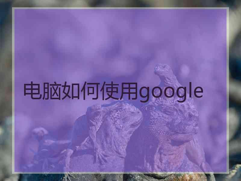 电脑如何使用google
