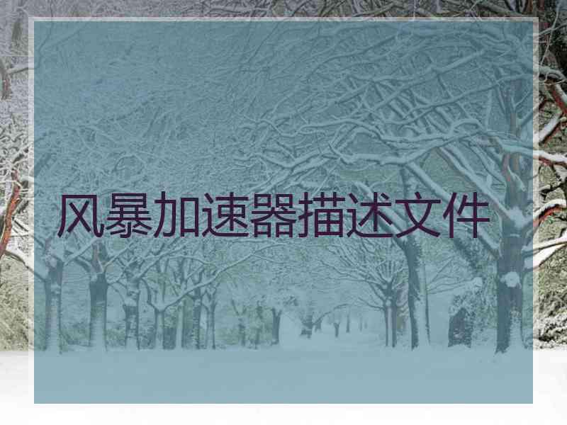 风暴加速器描述文件