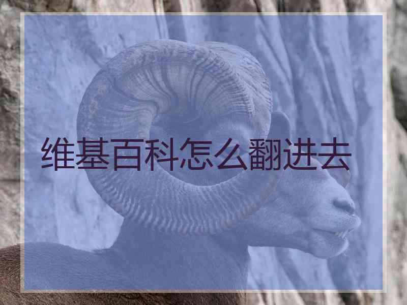 维基百科怎么翻进去