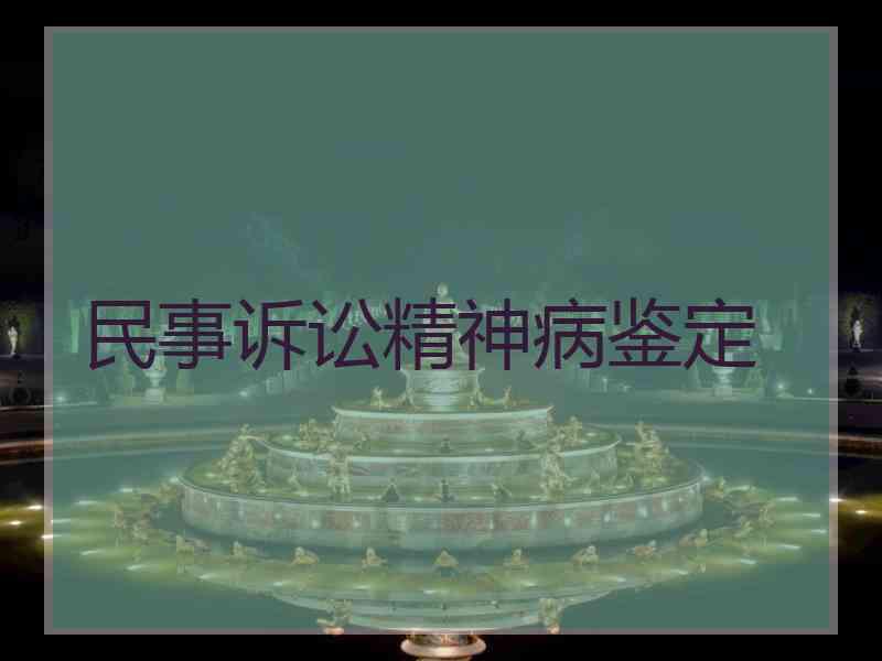 民事诉讼精神病鉴定