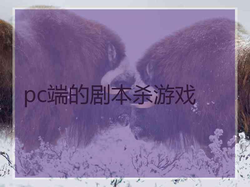 pc端的剧本杀游戏