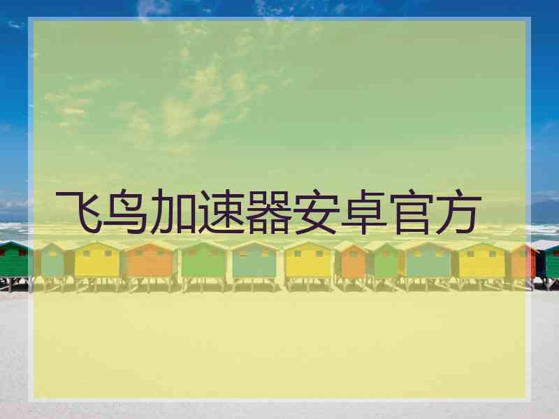 飞鸟加速器安卓官方