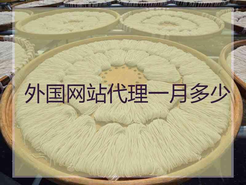 外国网站代理一月多少