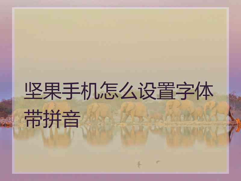 坚果手机怎么设置字体带拼音