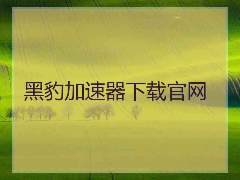 黑豹加速器下载官网