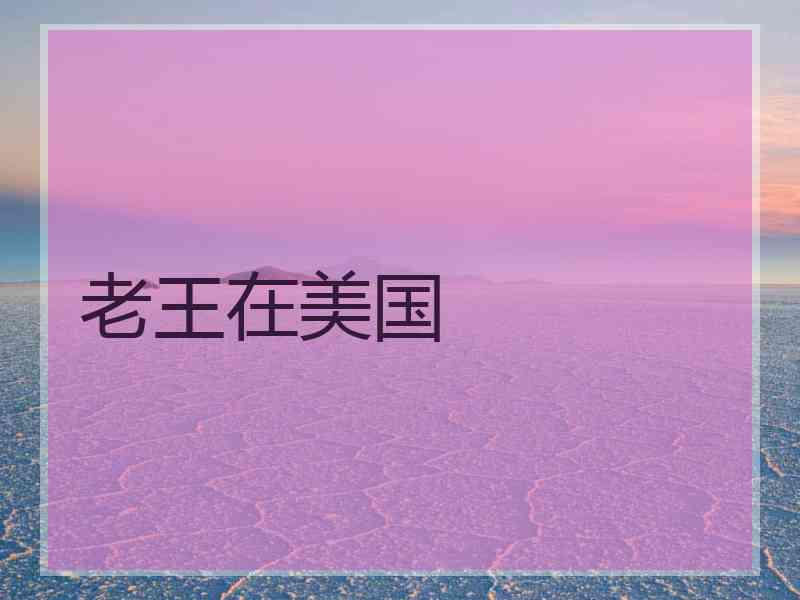 老王在美国