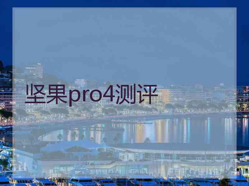 坚果pro4测评