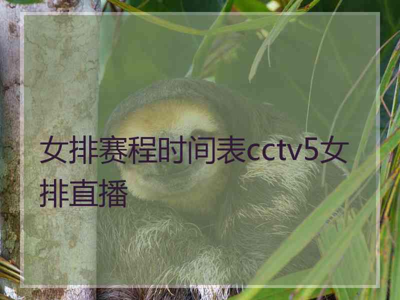女排赛程时间表cctv5女排直播