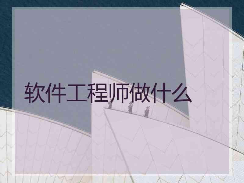 软件工程师做什么