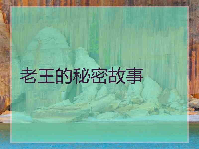 老王的秘密故事