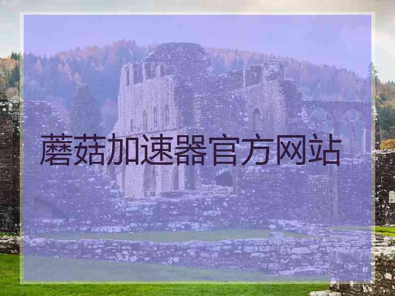 蘑菇加速器官方网站