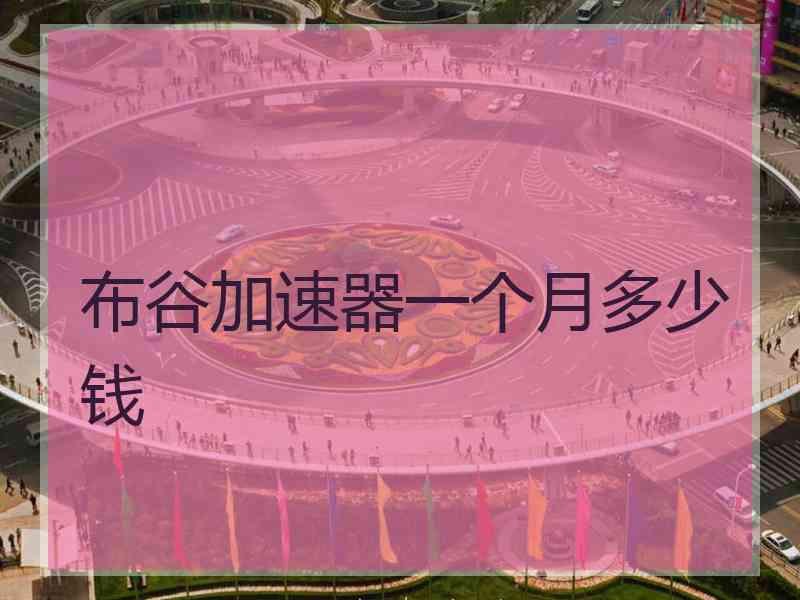 布谷加速器一个月多少钱