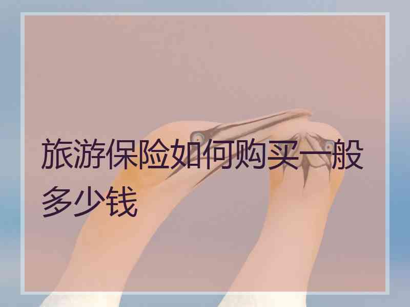 旅游保险如何购买一般多少钱