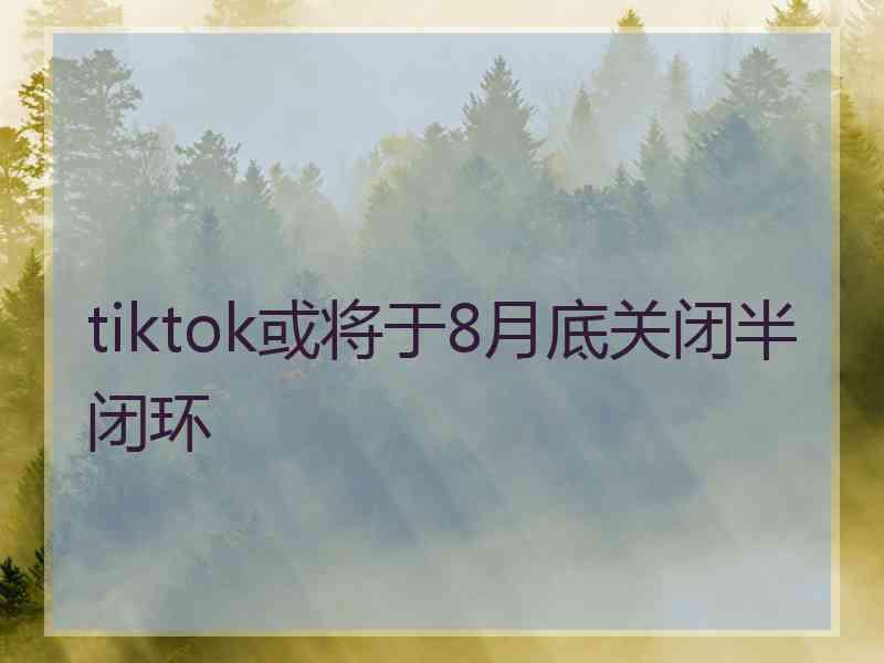 tiktok或将于8月底关闭半闭环