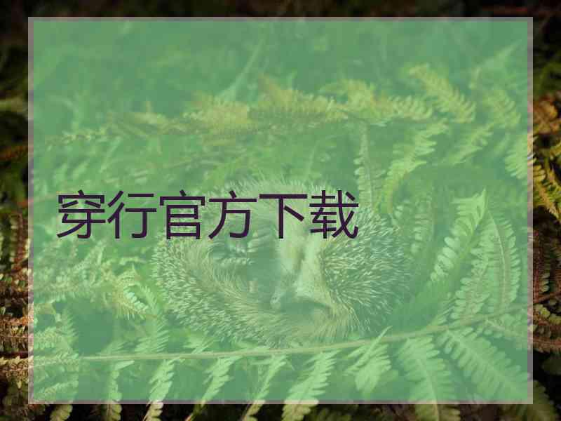 穿行官方下载
