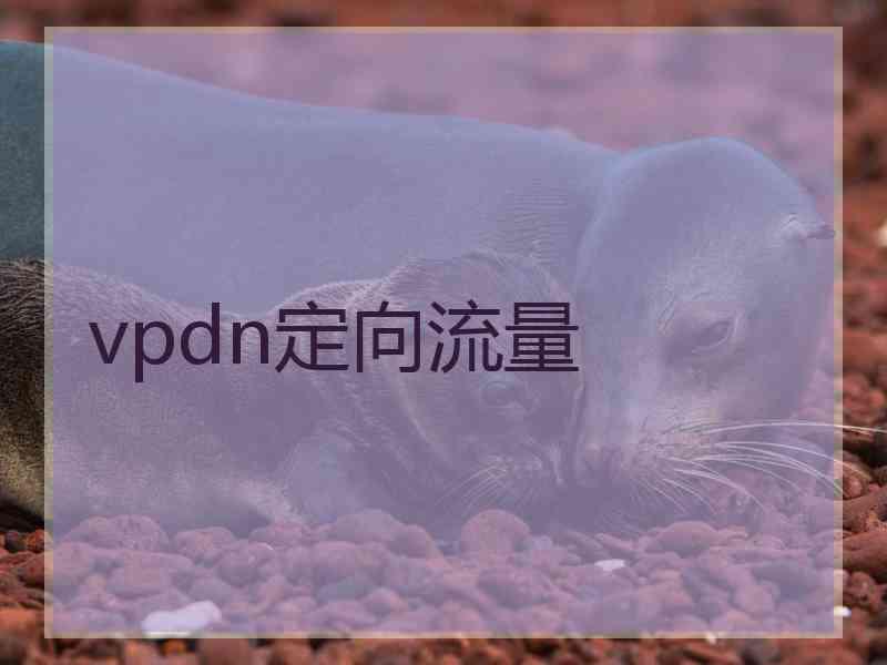 vpdn定向流量